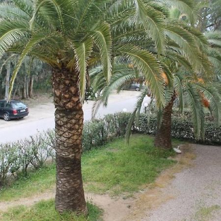 T2 Calvi Entierement Equipe A 150M De La Plage. Exterior foto