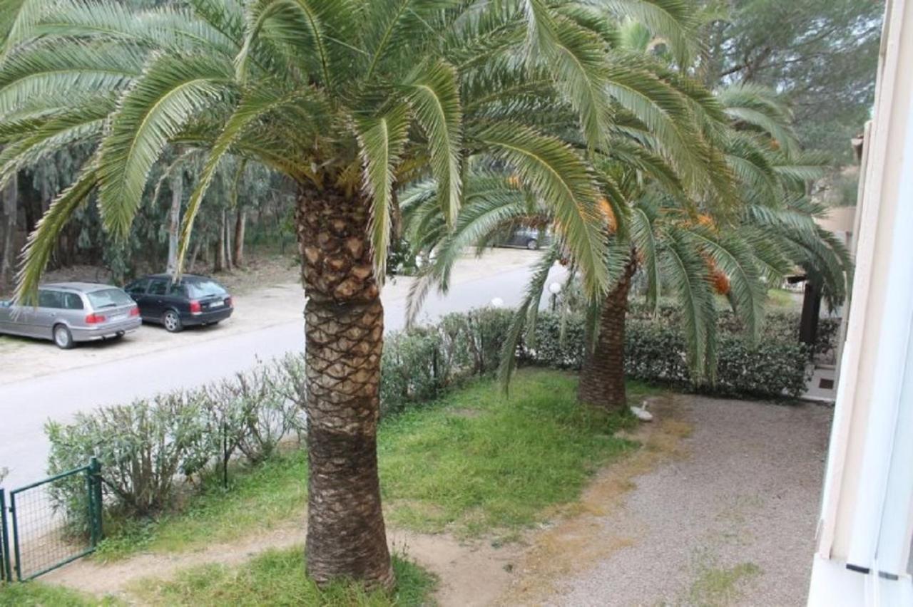 T2 Calvi Entierement Equipe A 150M De La Plage. Exterior foto