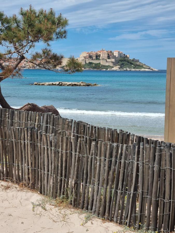T2 Calvi Entierement Equipe A 150M De La Plage. Exterior foto